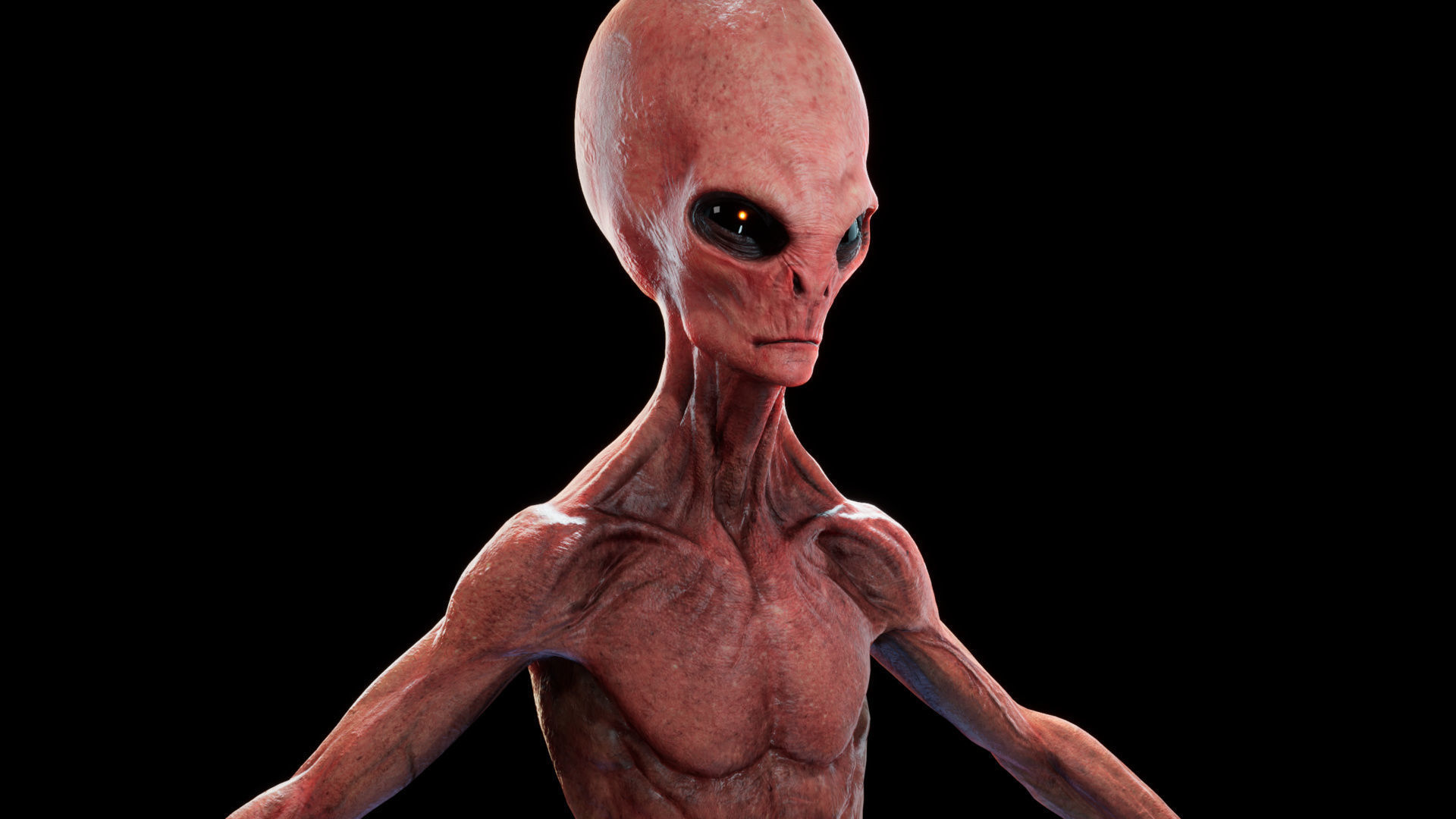Alien - Grey - Unreal Engine Low-poly 3D model_13