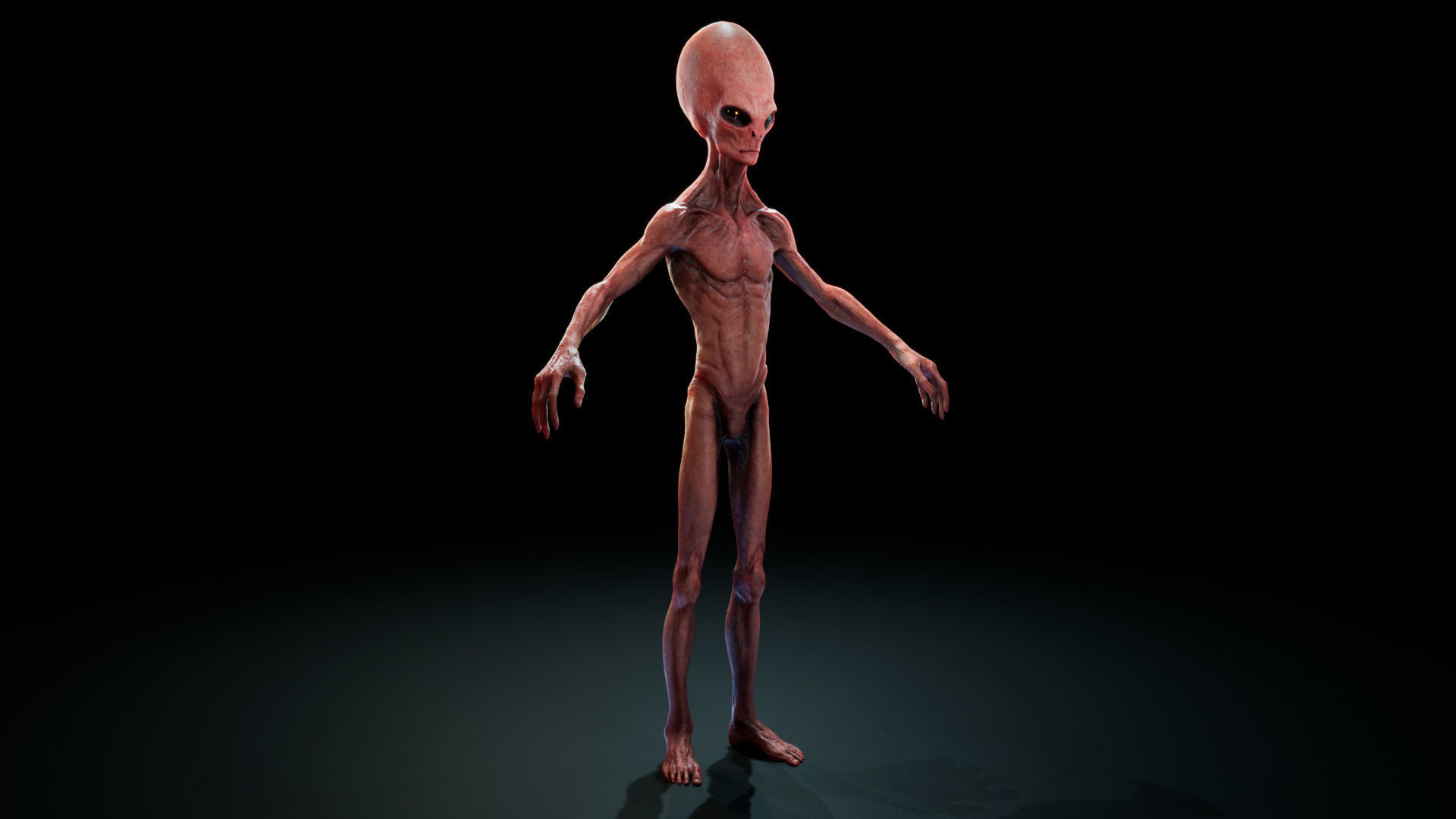 Alien - Grey - Unreal Engine Low-poly 3D model_11