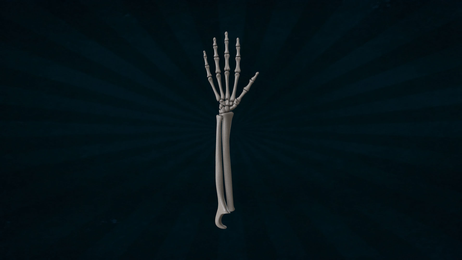HAND-041 Rigged Hand 3D model_2