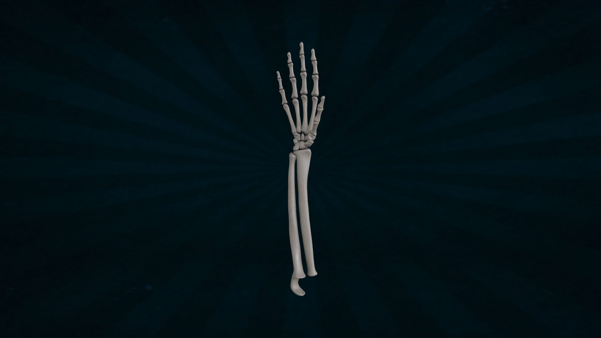 HAND-041 Rigged Hand 3D model_7