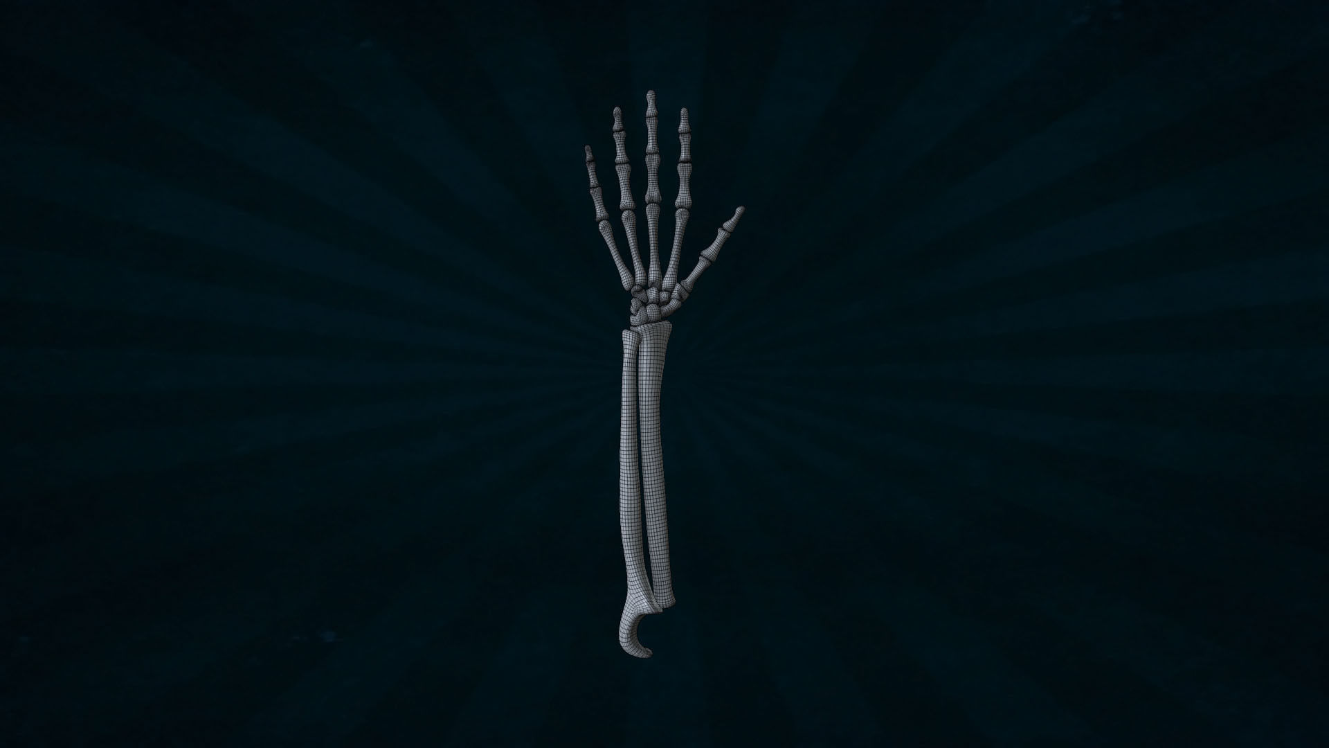HAND-041 Rigged Hand 3D model_4