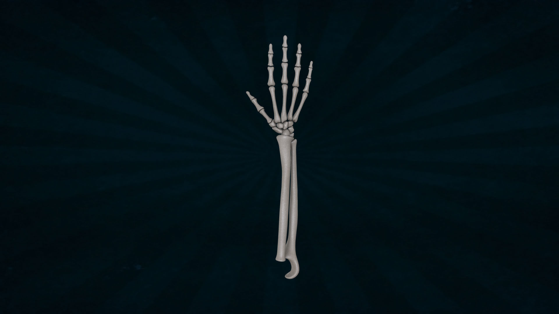 HAND-041 Rigged Hand 3D model_5