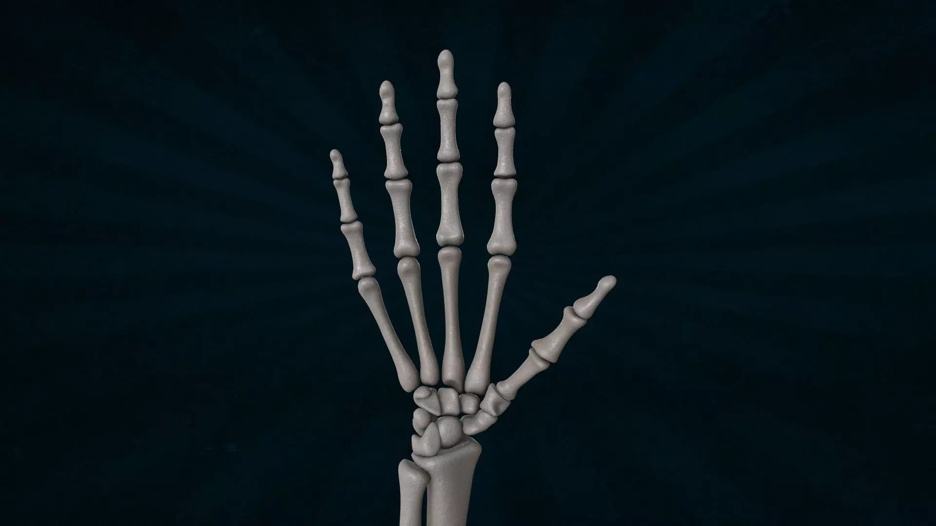 HAND-041 Rigged Hand 3D model_0