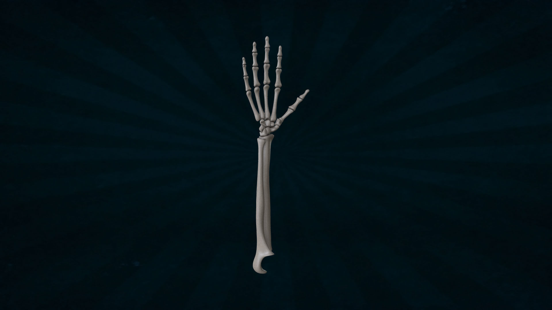 HAND-041 Rigged Hand 3D model_6