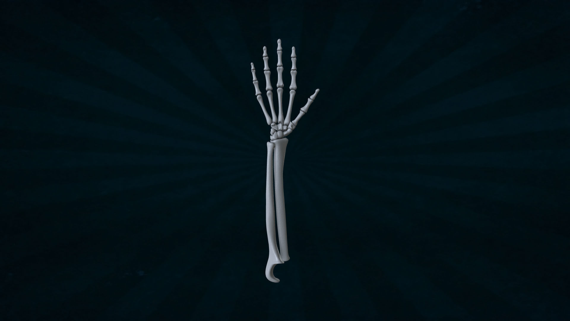 HAND-041 Rigged Hand 3D model_3