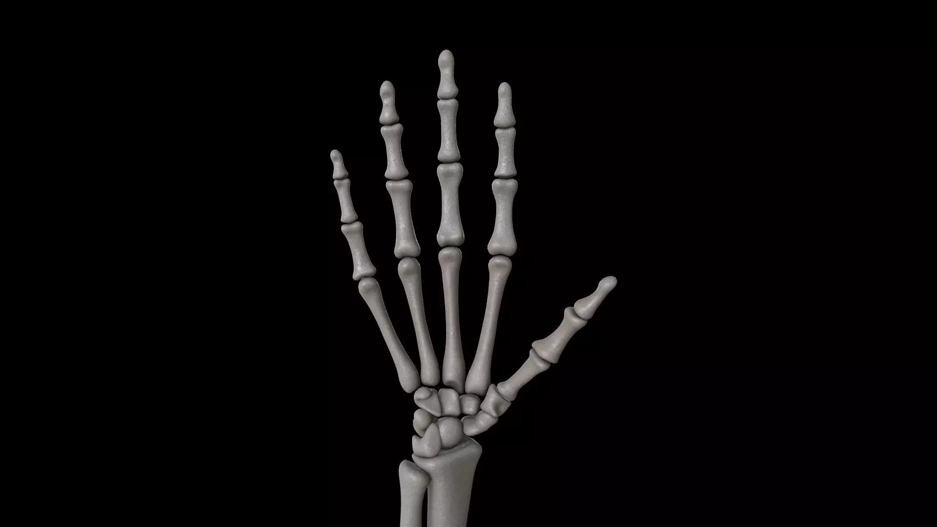 HAND09 Rigged Hand 3D model_0