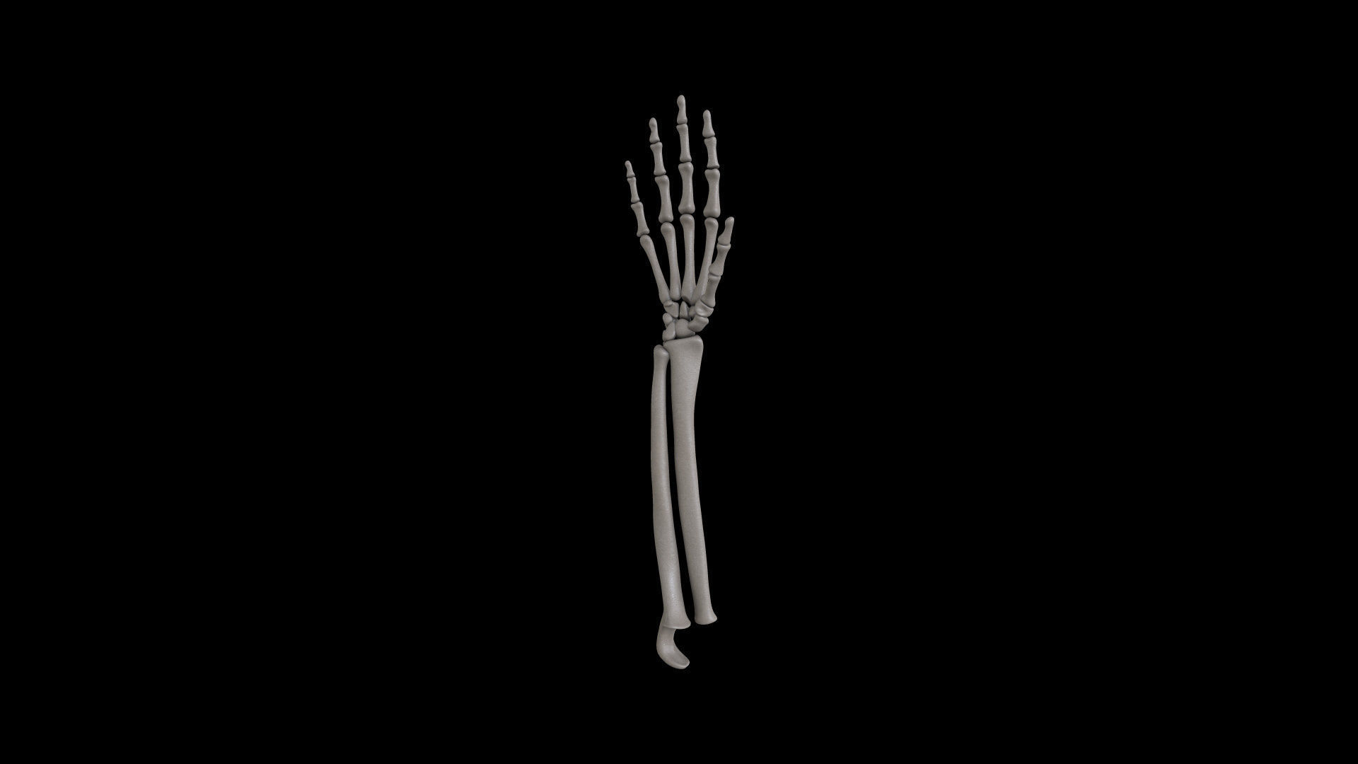 HAND09 Rigged Hand 3D model_7