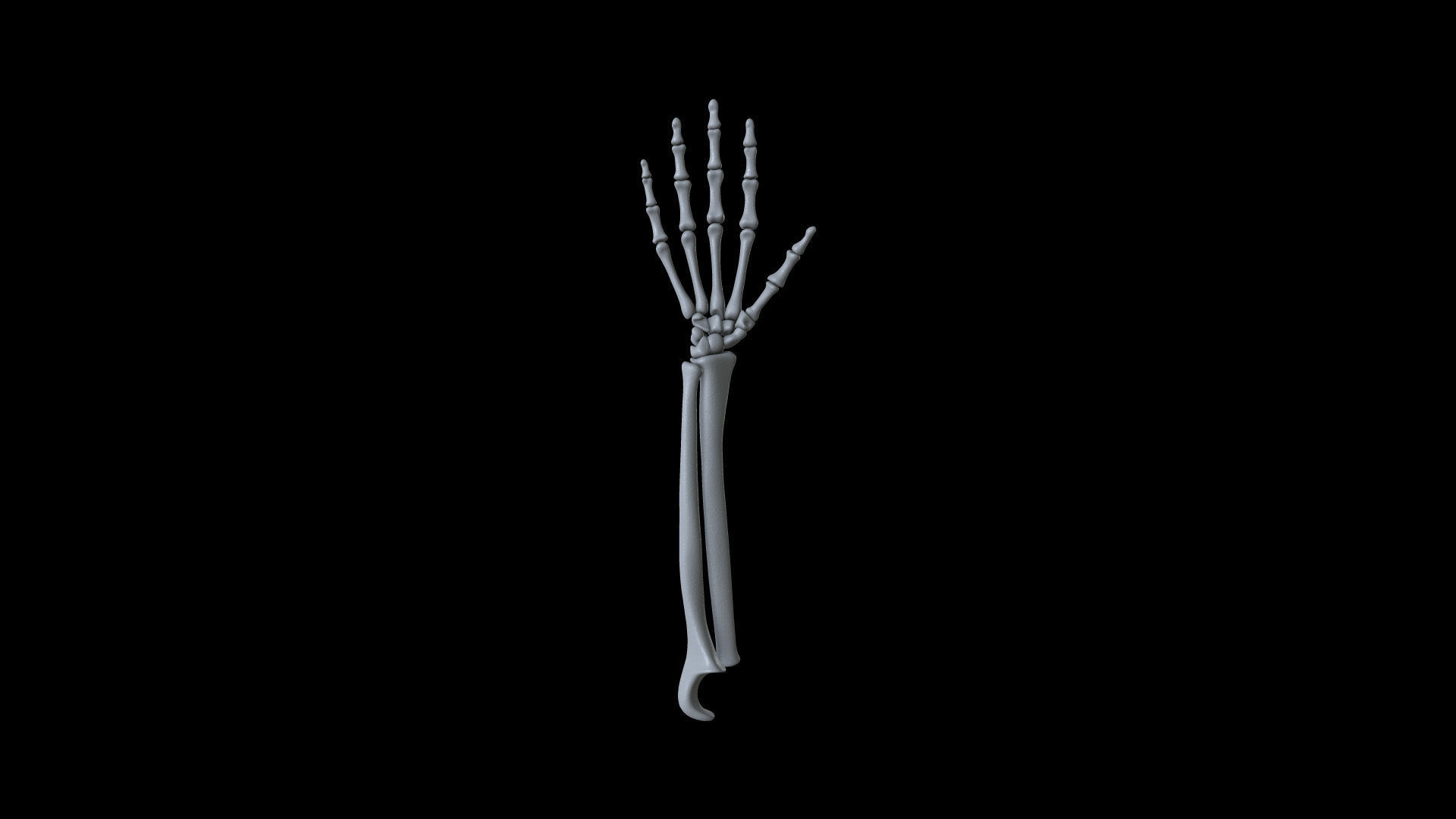 HAND09 Rigged Hand 3D model_3