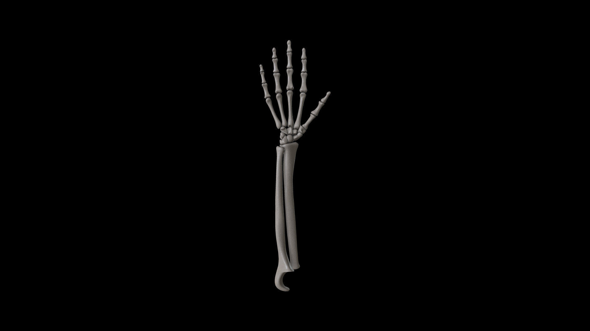 HAND09 Rigged Hand 3D model_2