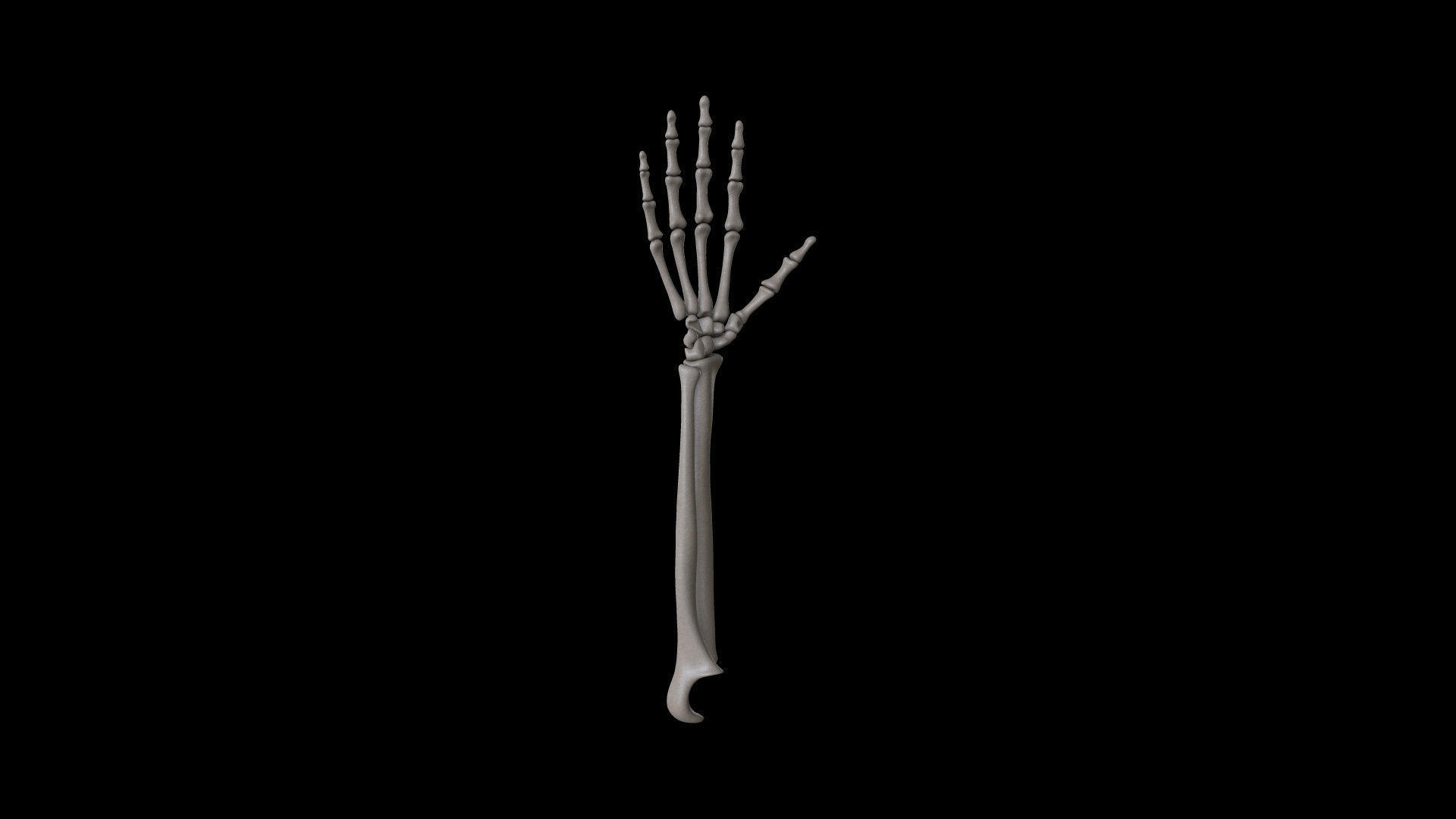 HAND09 Rigged Hand 3D model_6