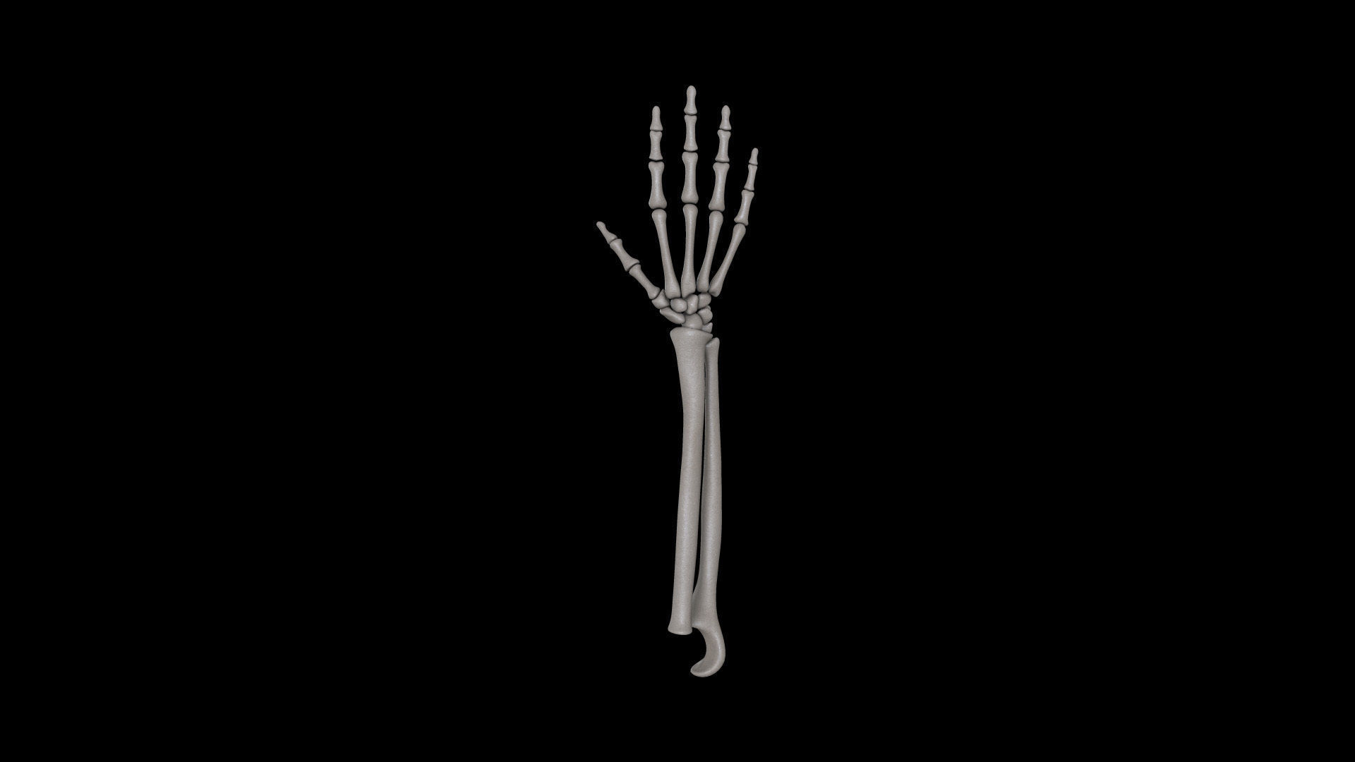 HAND09 Rigged Hand 3D model_5