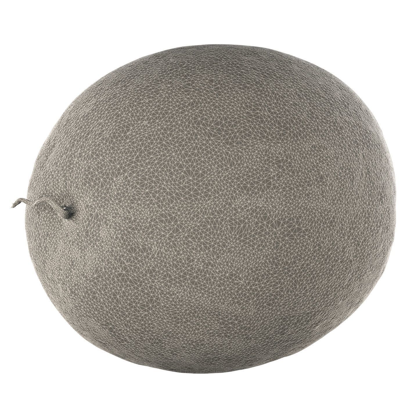 4k Watermelon 3D model_23