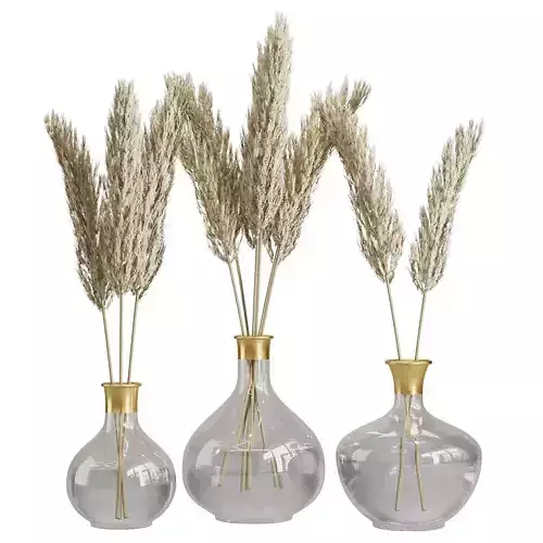 Pampas in glass vase 3D model