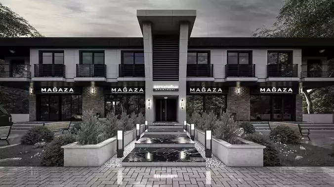  Modern House and Shop   Lumion 11 Scene  Exterior  Scene 3D model