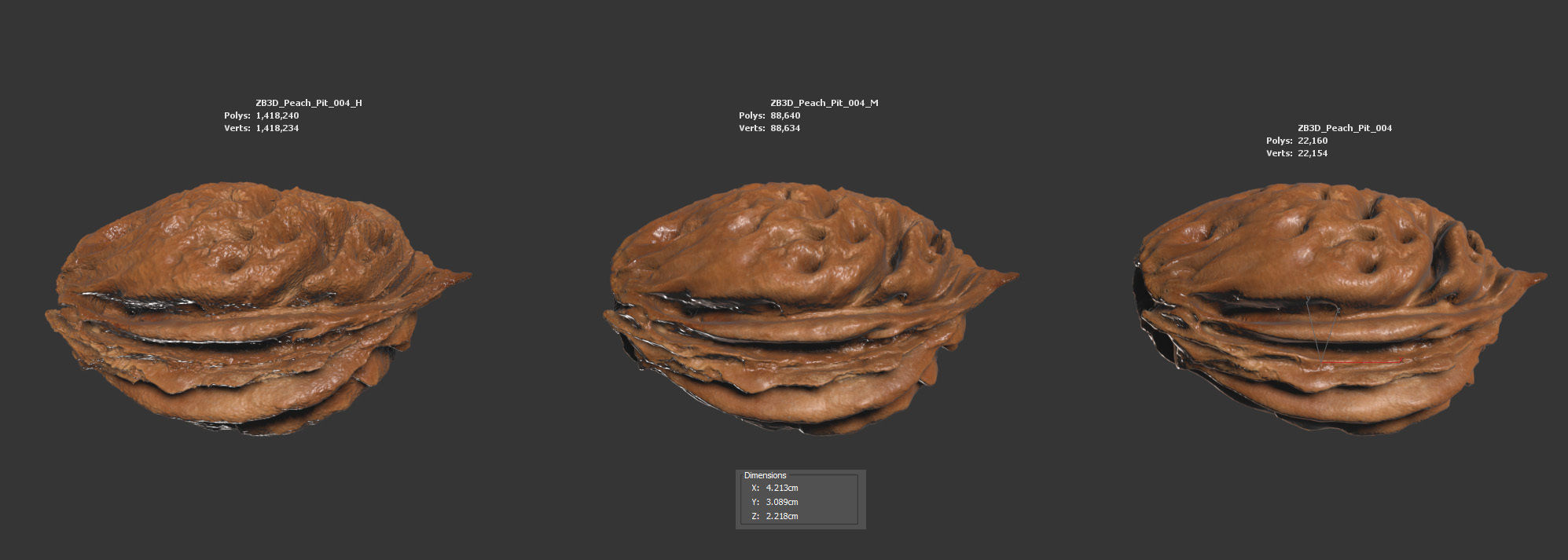 Peach Pit 3D model_5