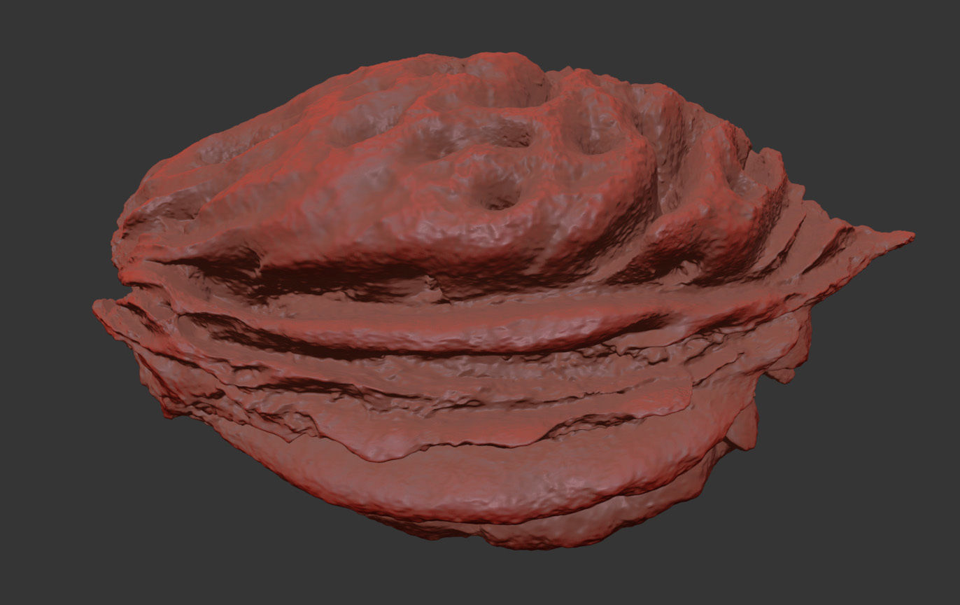 Peach Pit 3D model_7