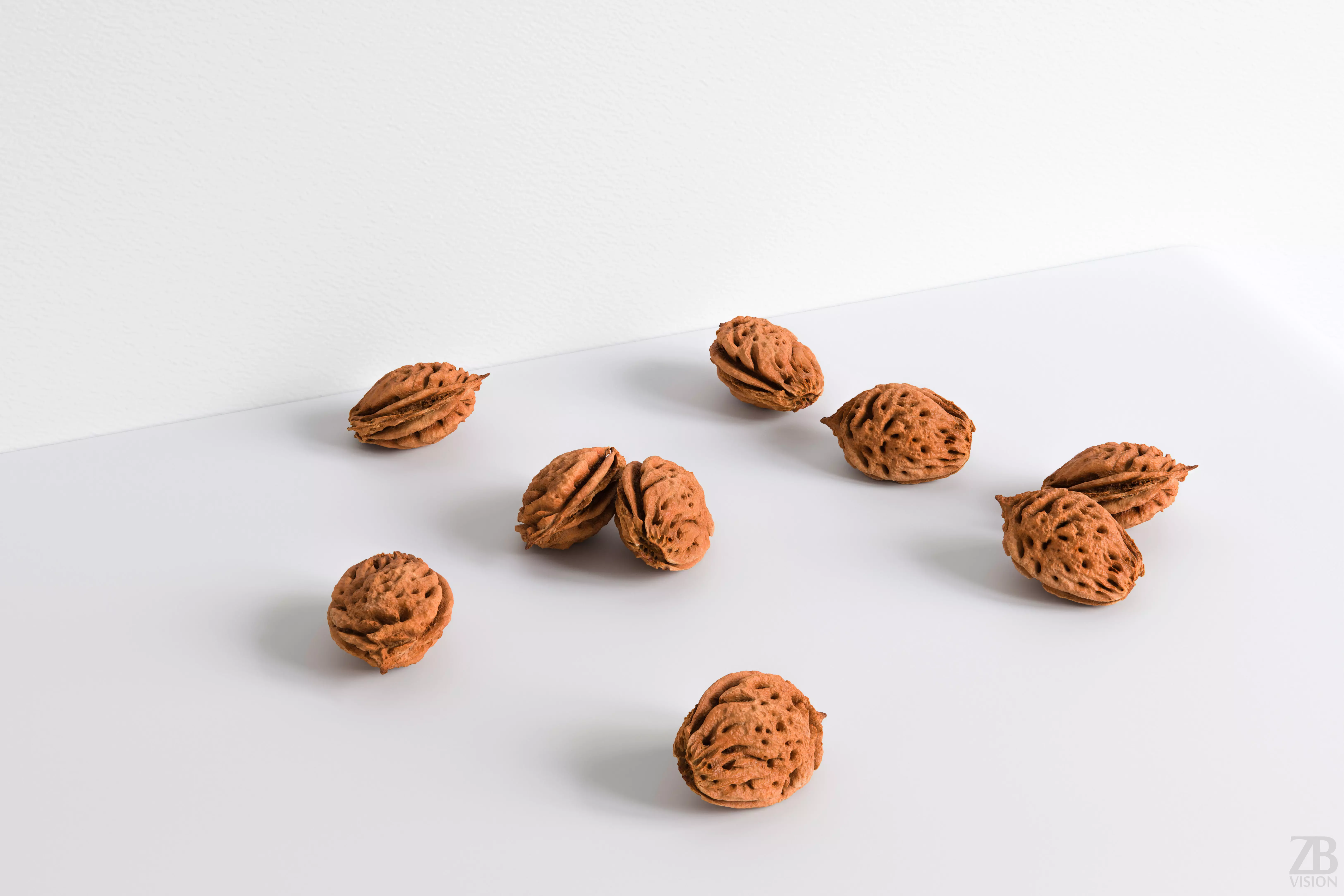 Peach Pit 3D model_0