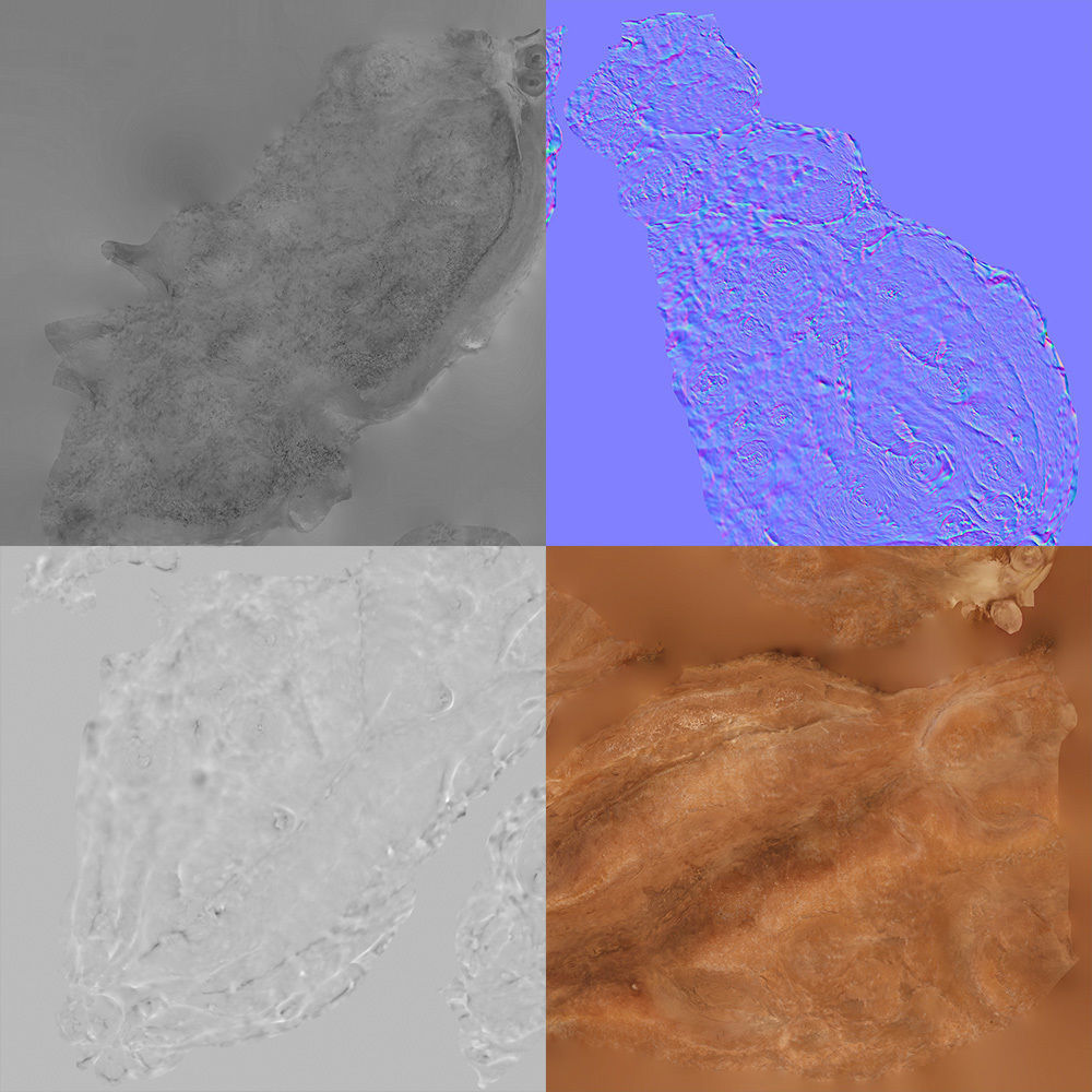 Peach Pit 3D model_8