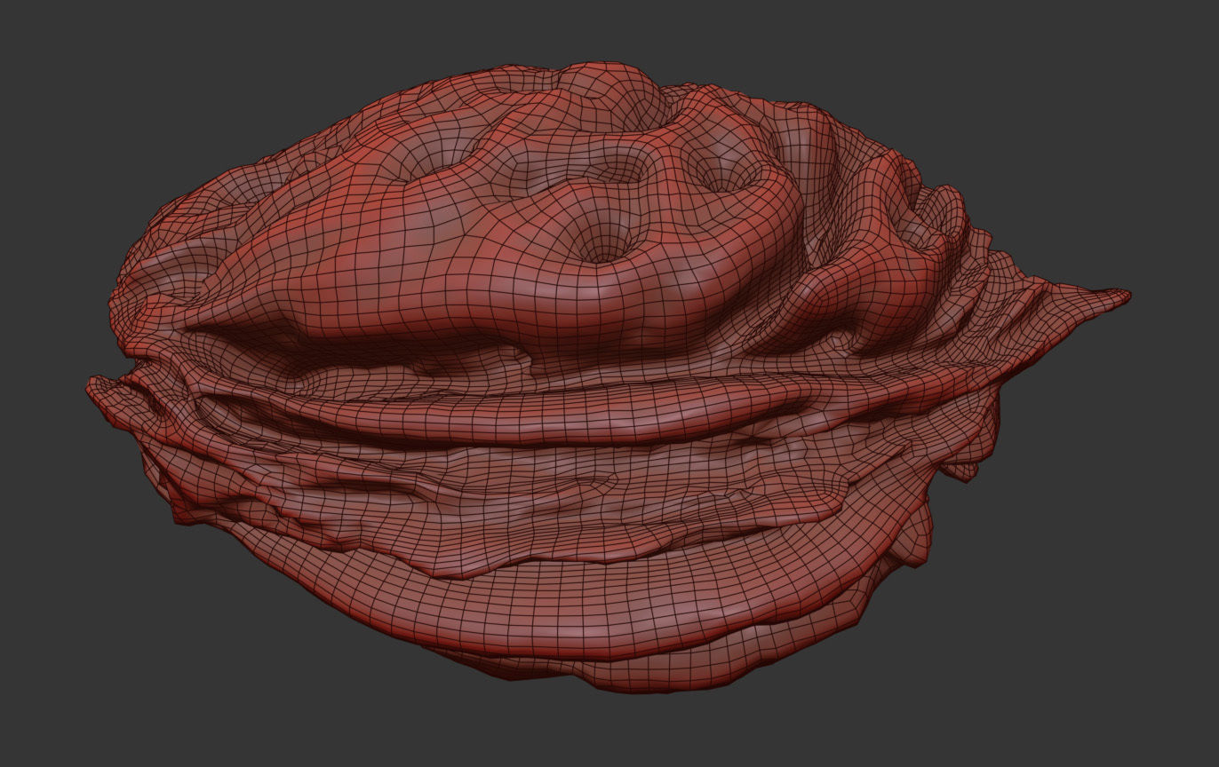 Peach Pit 3D model_6