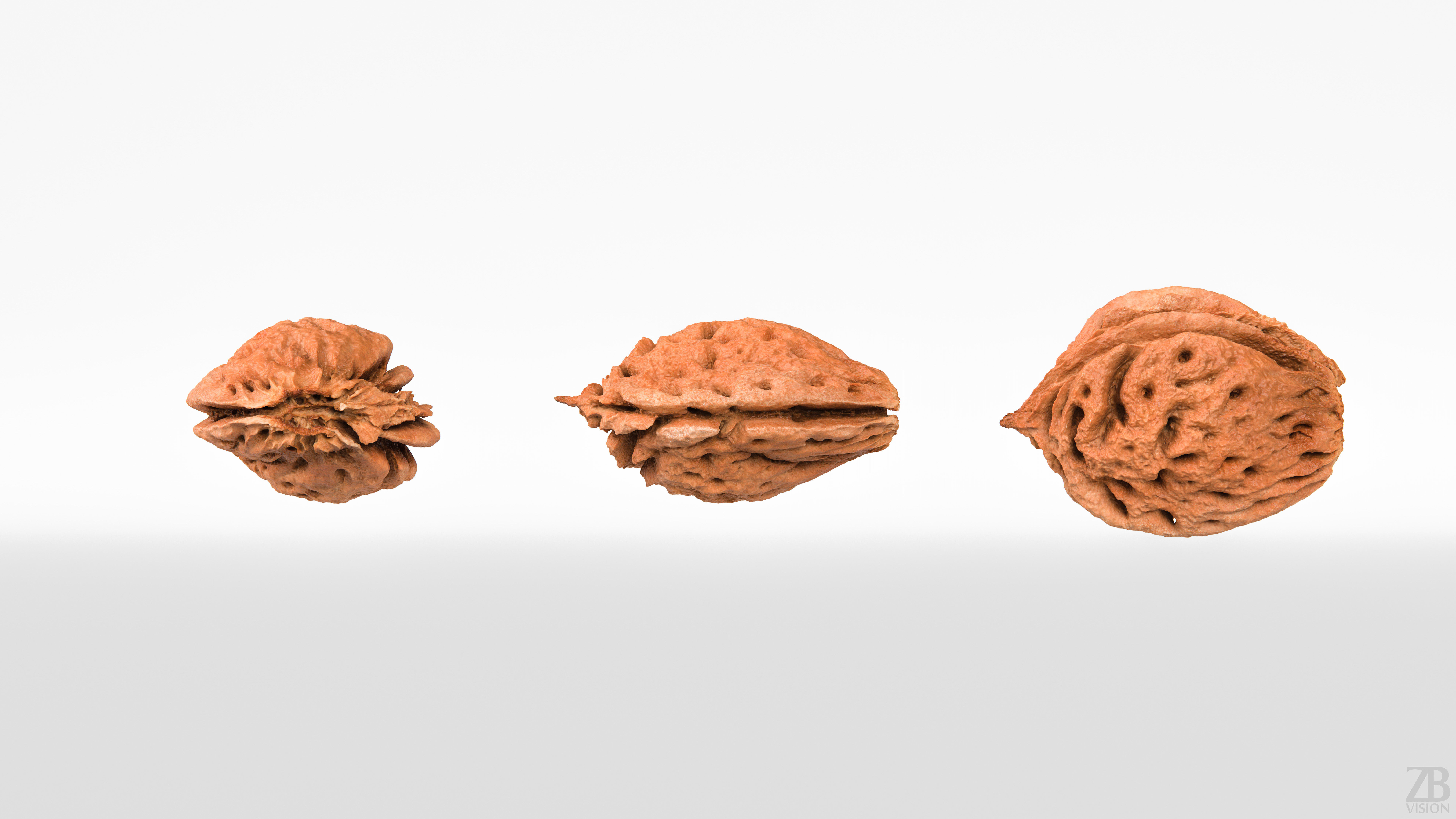 Peach Pit 3D model_4