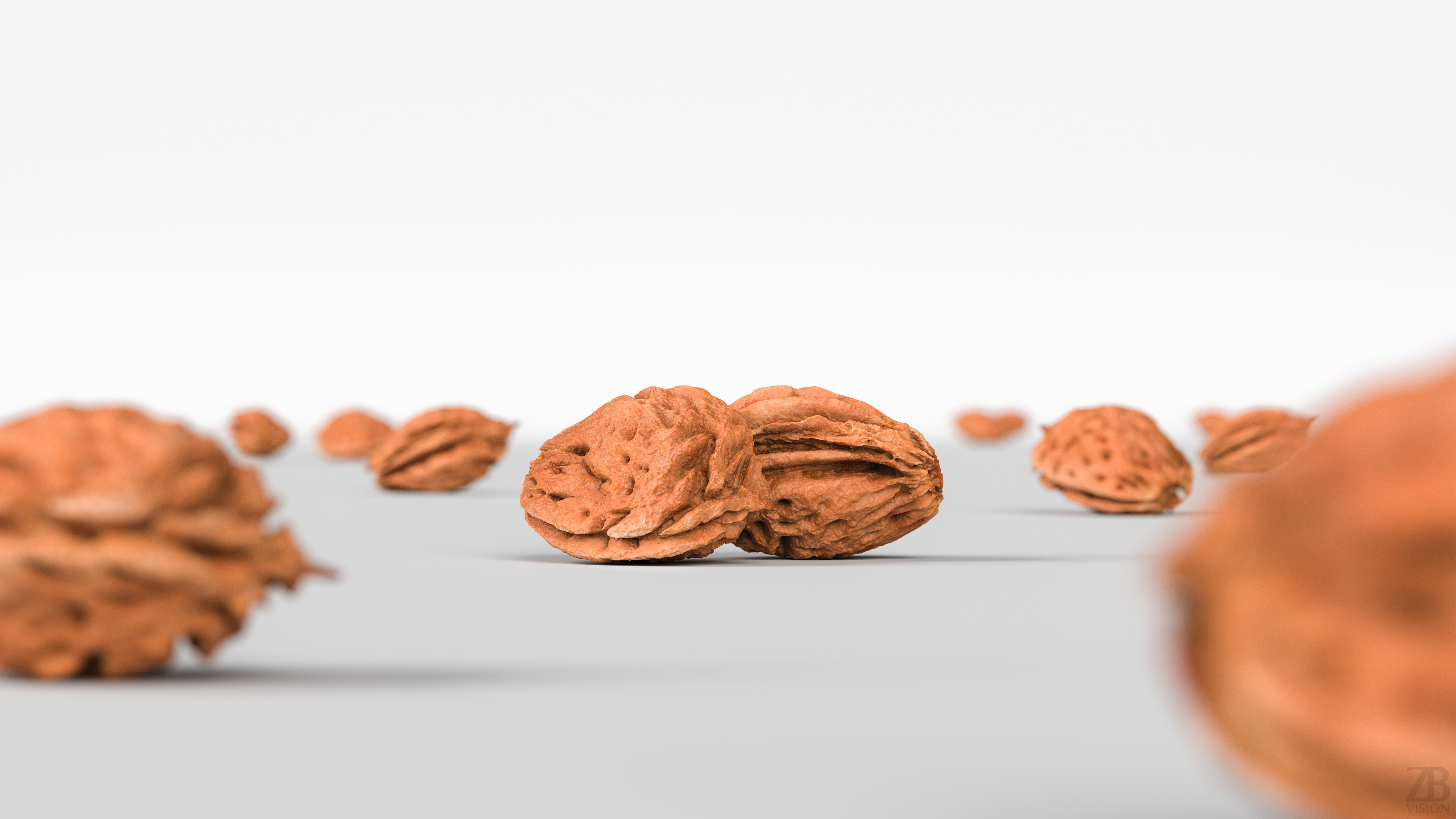 Peach Pit 3D model_1