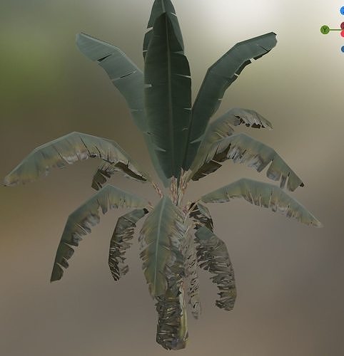 banana tree Low-poly 3D model