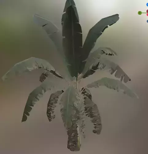 banana tree Low-poly 3D model