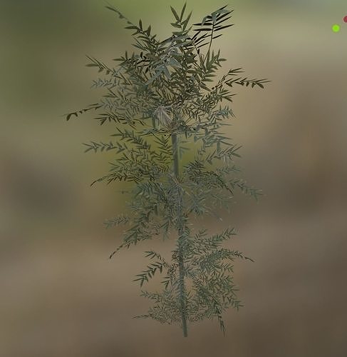 bamboo tree Low-poly 3D model