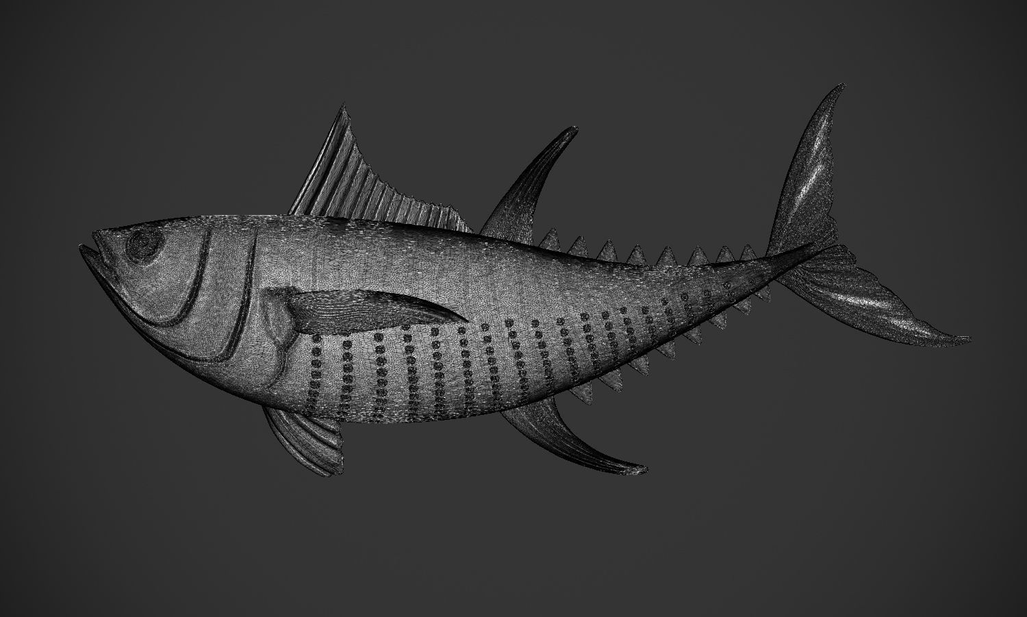 Yellowfin Tuna 3D print model_6