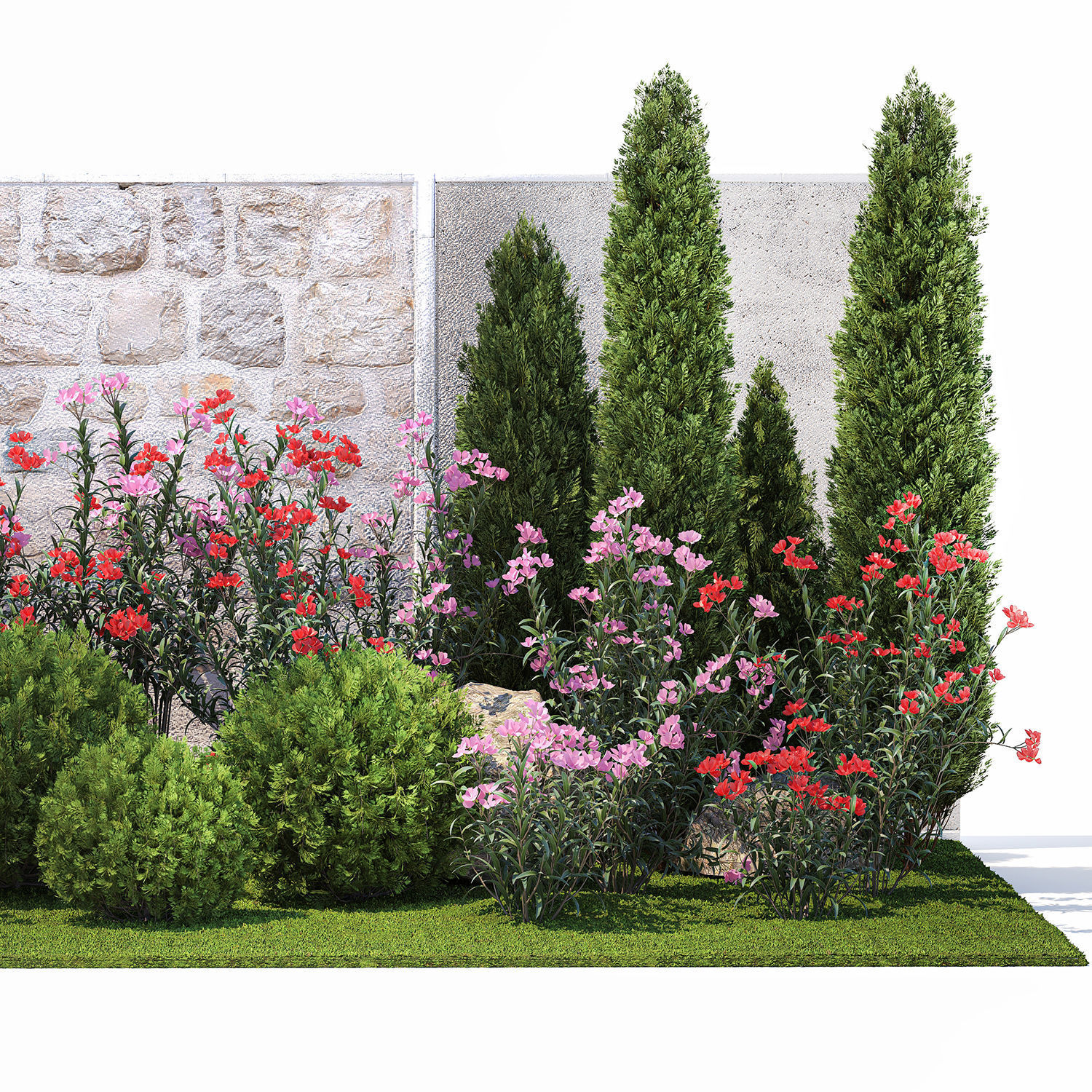 Beautiful garden with thuja flowers cypress and oleander 1370 3D model_9