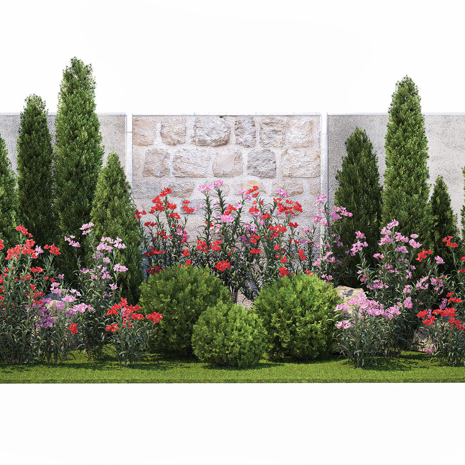 Beautiful garden with thuja flowers cypress and oleander 1370 3D model_8