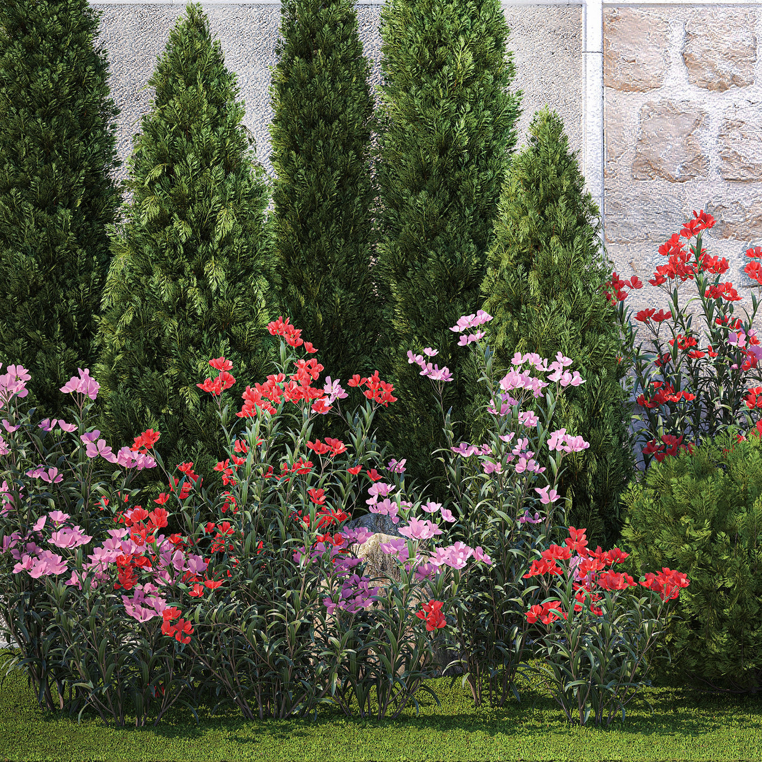 Beautiful garden with thuja flowers cypress and oleander 1370 3D model_11