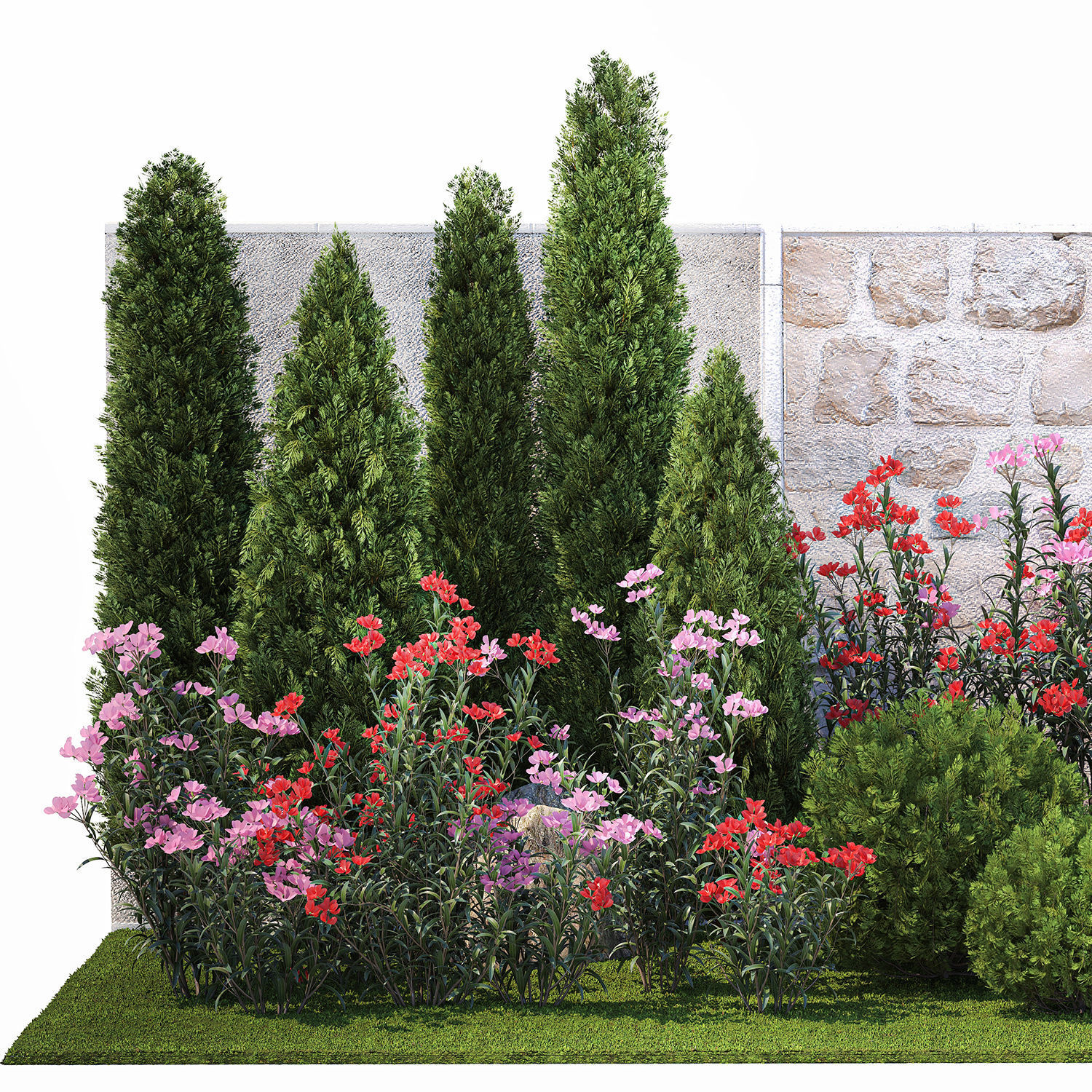Beautiful garden with thuja flowers cypress and oleander 1370 3D model_7