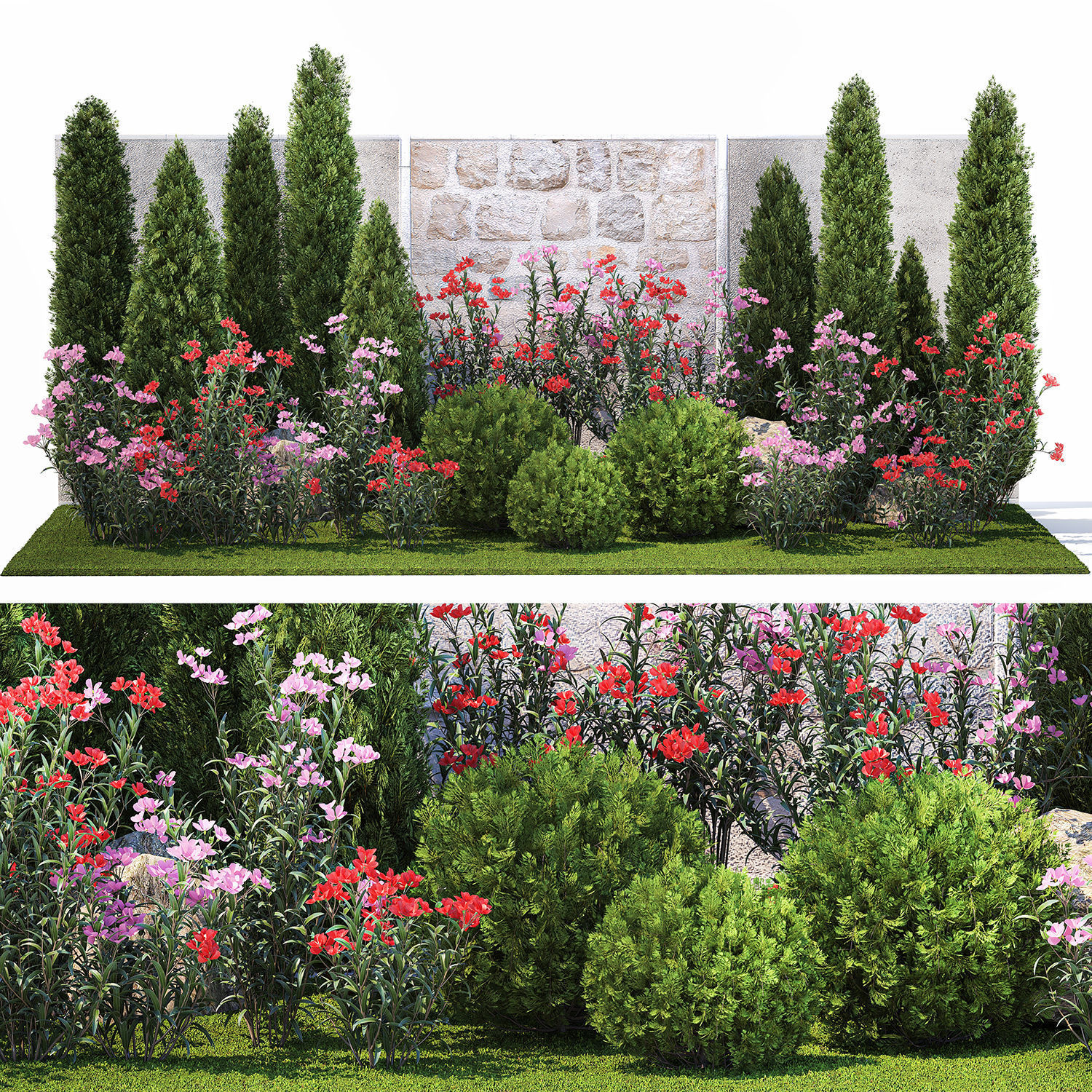 Beautiful garden with thuja flowers cypress and oleander 1370 3D model_5