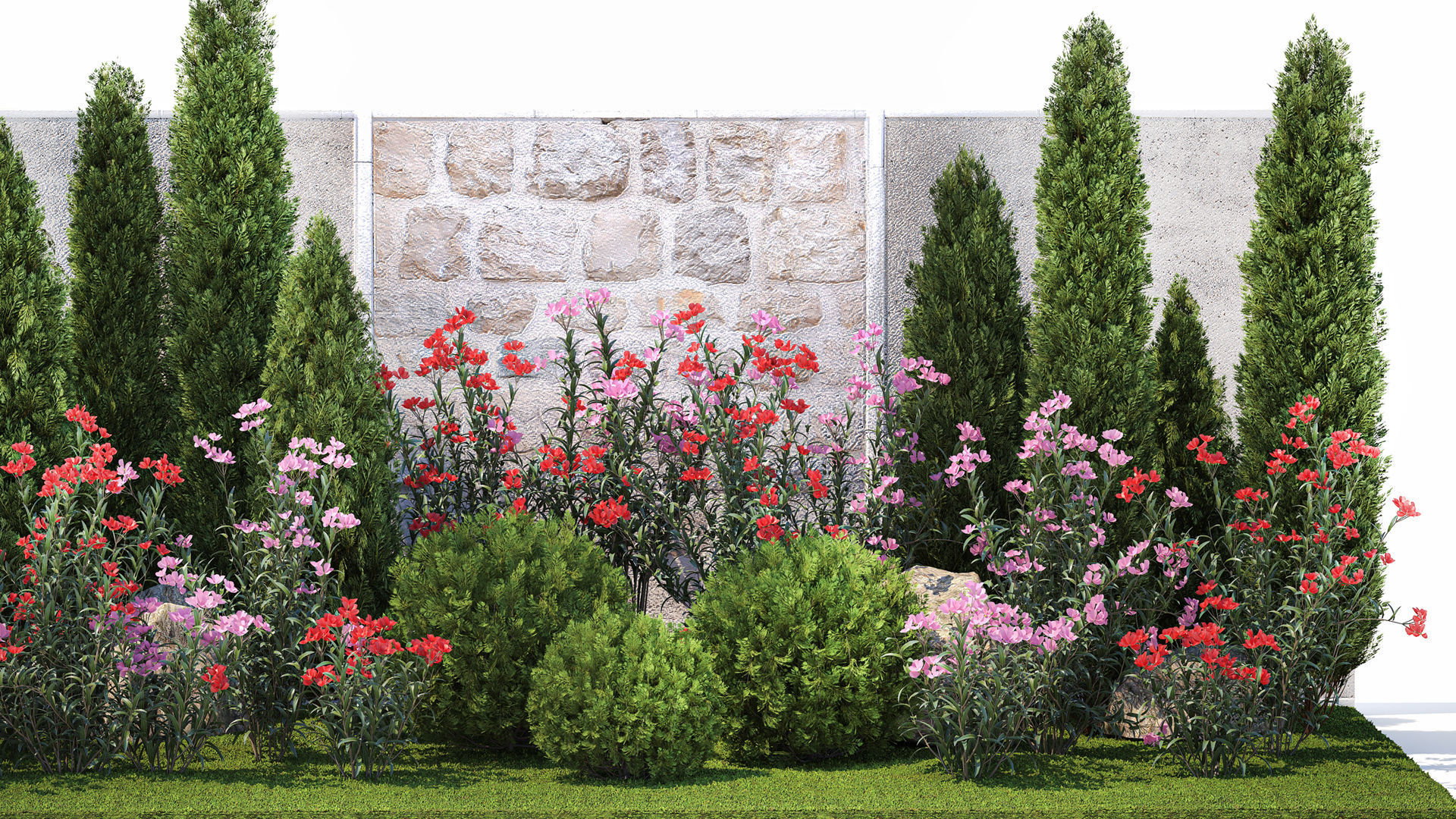 Beautiful garden with thuja flowers cypress and oleander 1370 3D model_1