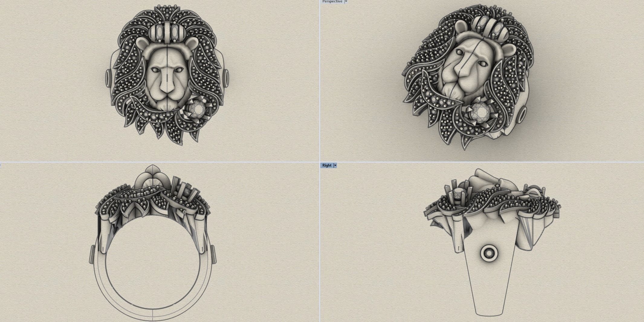 Lion Rings Collection  _11