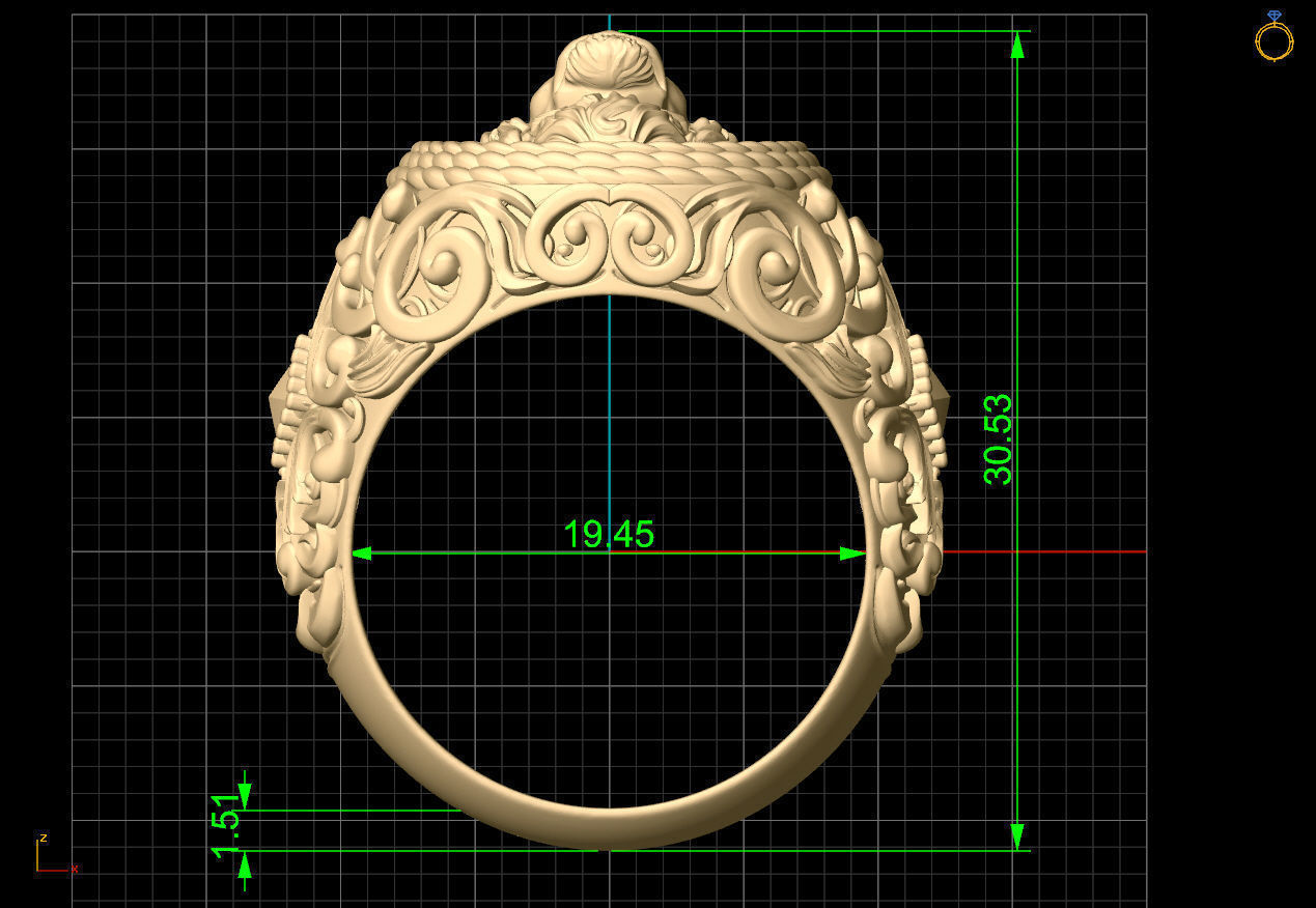 Lion Rings Collection  _15