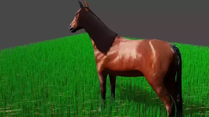 horse male 3D model