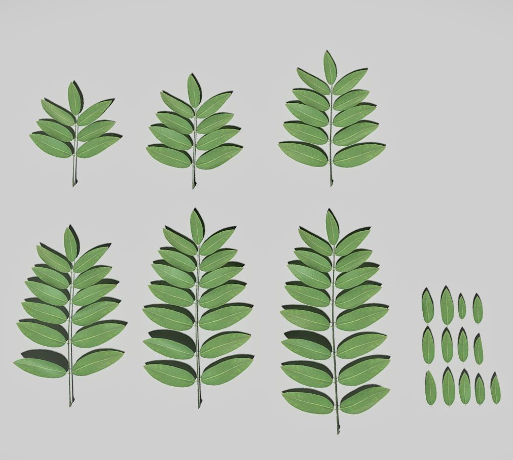 High Poly Honey Tree Leaves 3D model_20