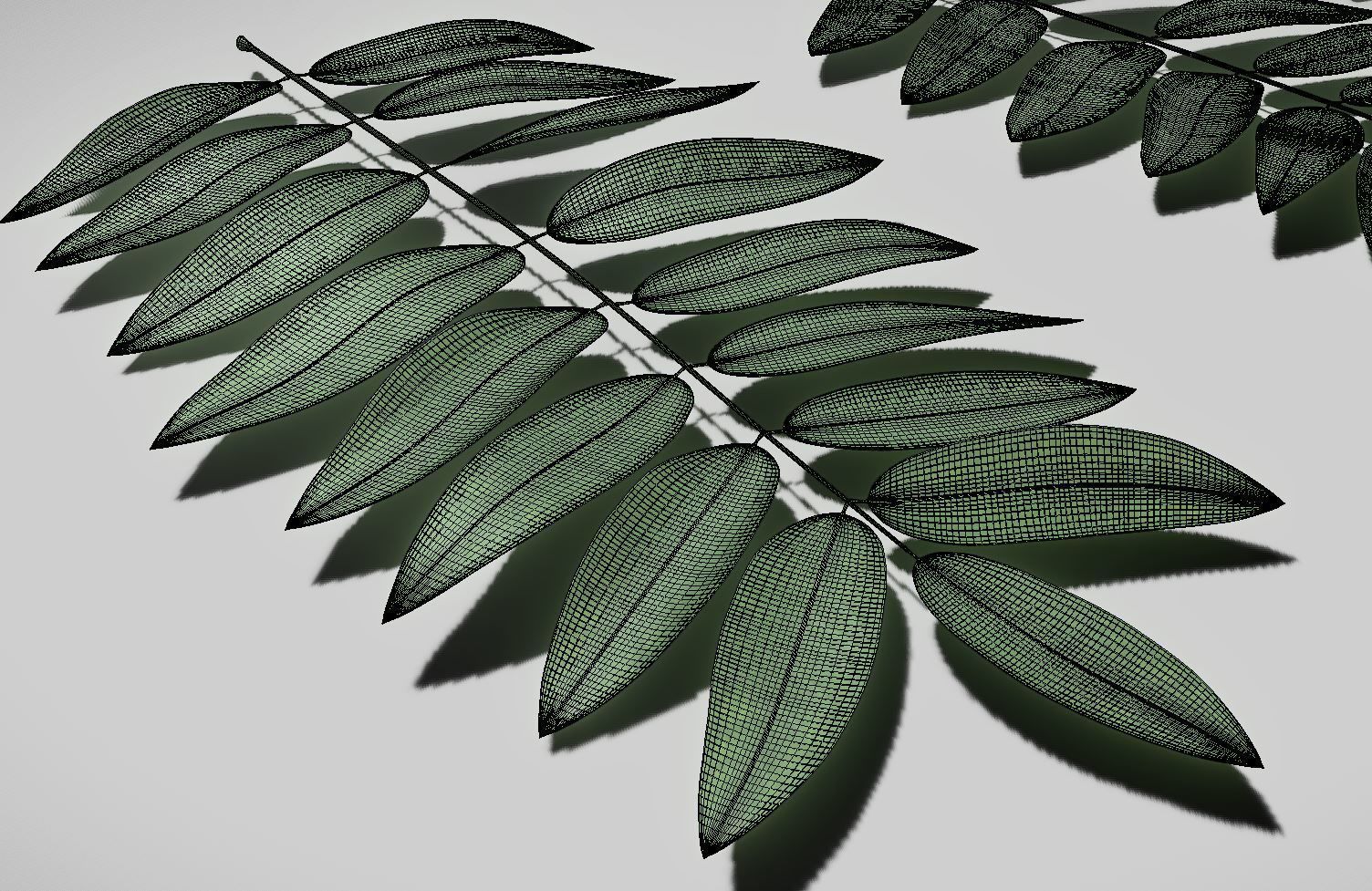 High Poly Honey Tree Leaves 3D model_4