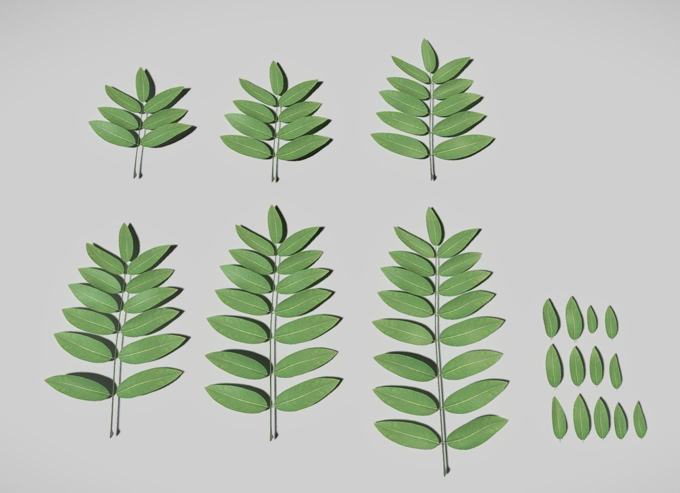 High Poly Honey Tree Leaves 3D model_13