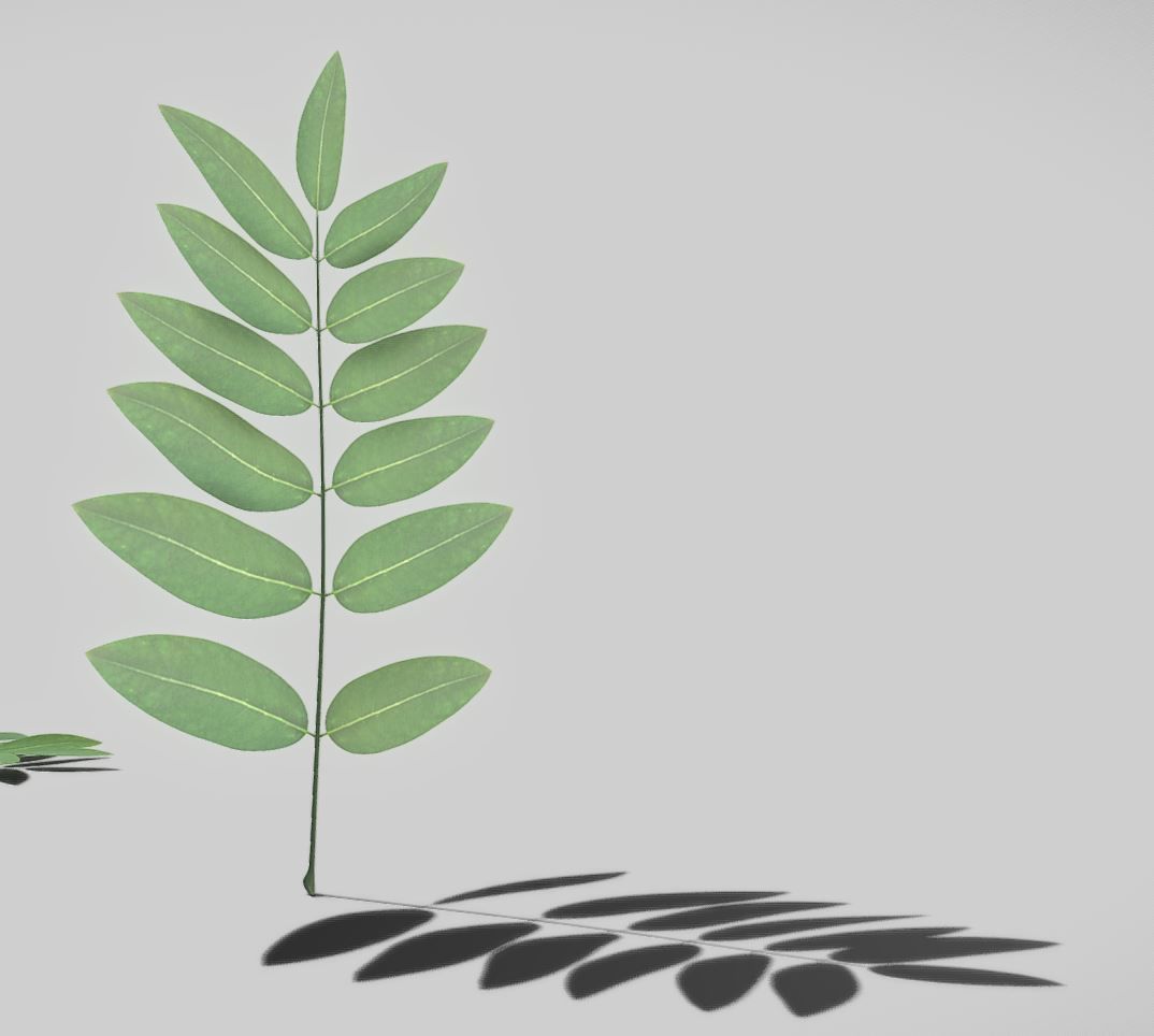 High Poly Honey Tree Leaves 3D model_17