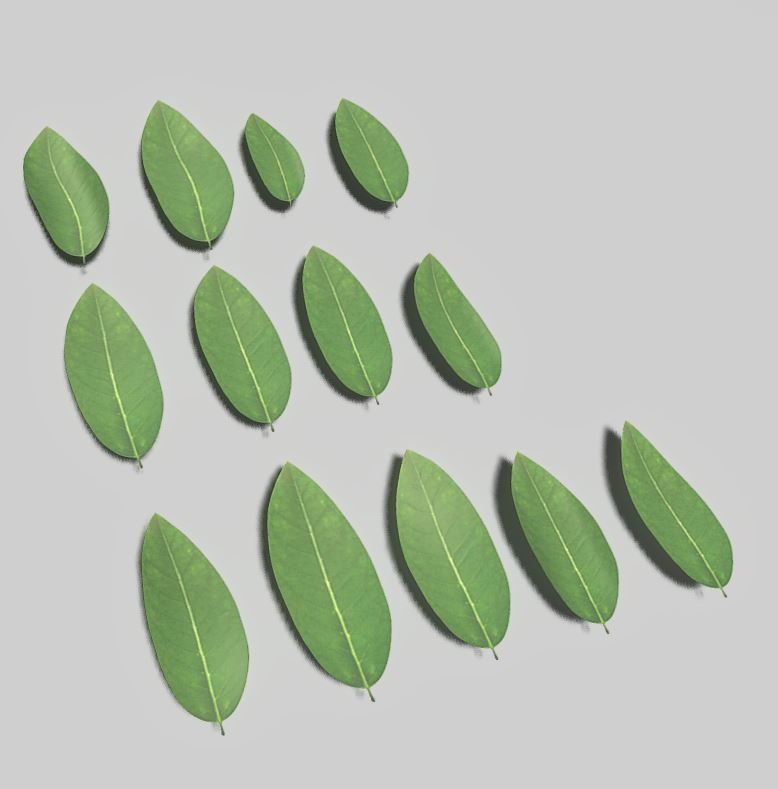 High Poly Honey Tree Leaves 3D model_11