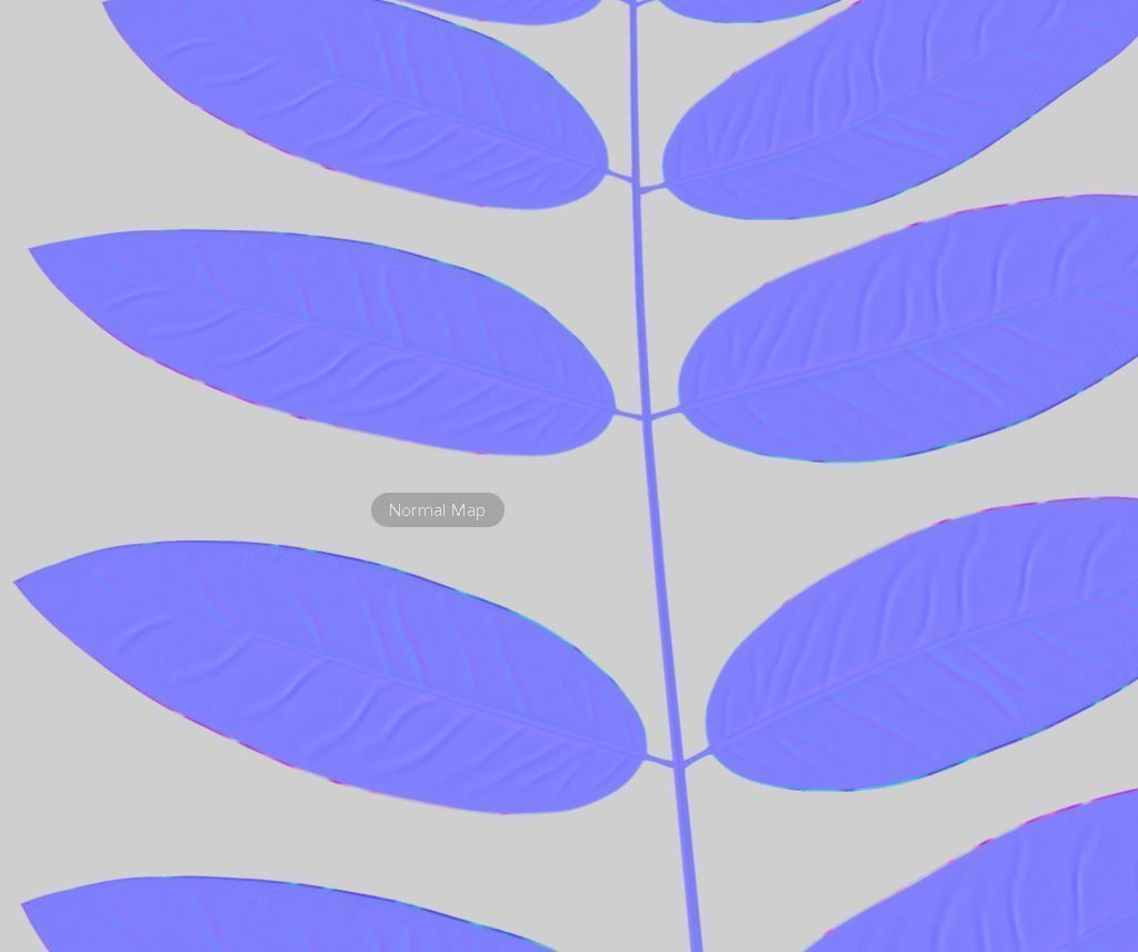 High Poly Honey Tree Leaves 3D model_6