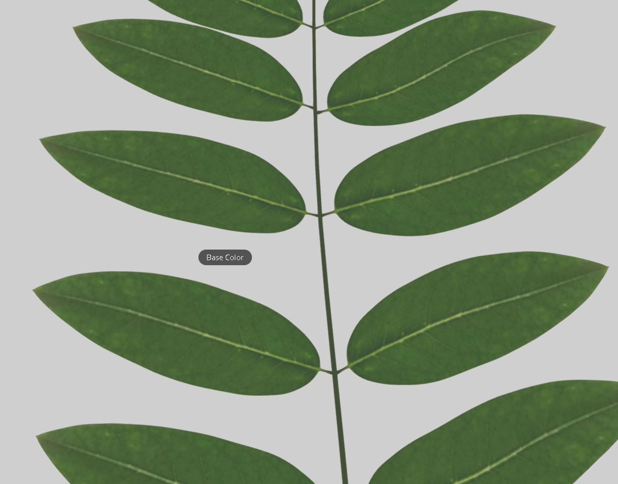 High Poly Honey Tree Leaves 3D model_16