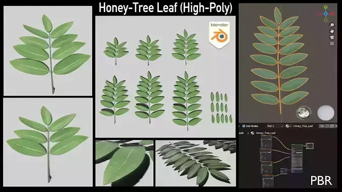 High Poly Honey Tree Leaves 3D model