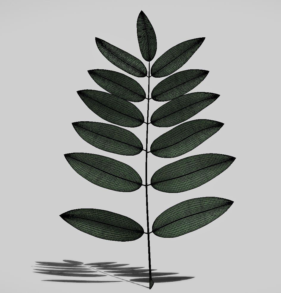 High Poly Honey Tree Leaves 3D model_15