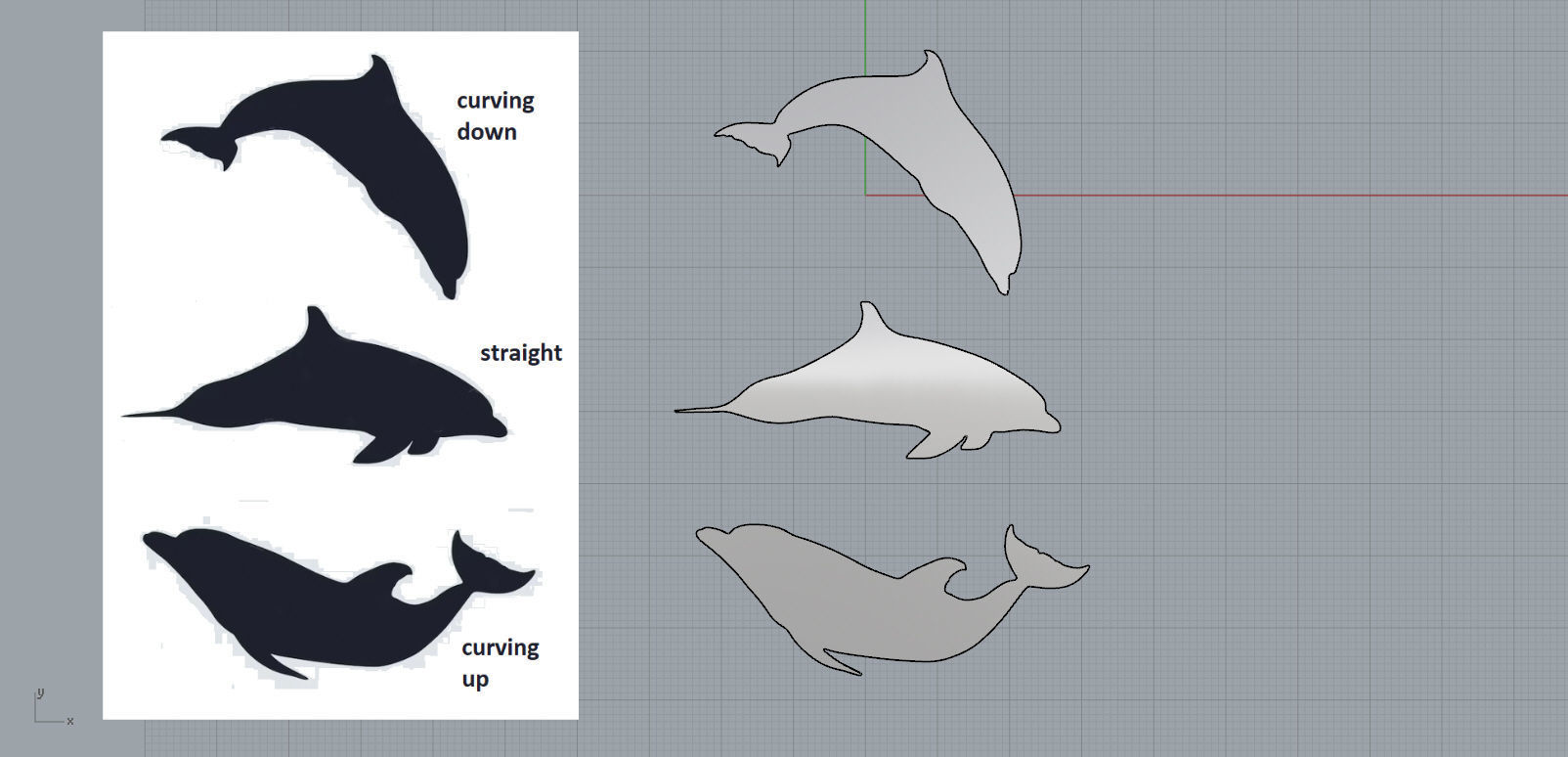 dolphin 3D print model_2