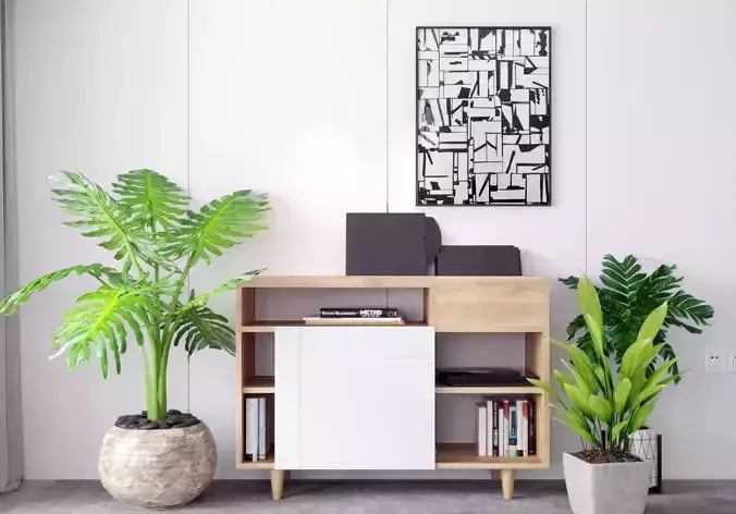 decorative cabinet Modern