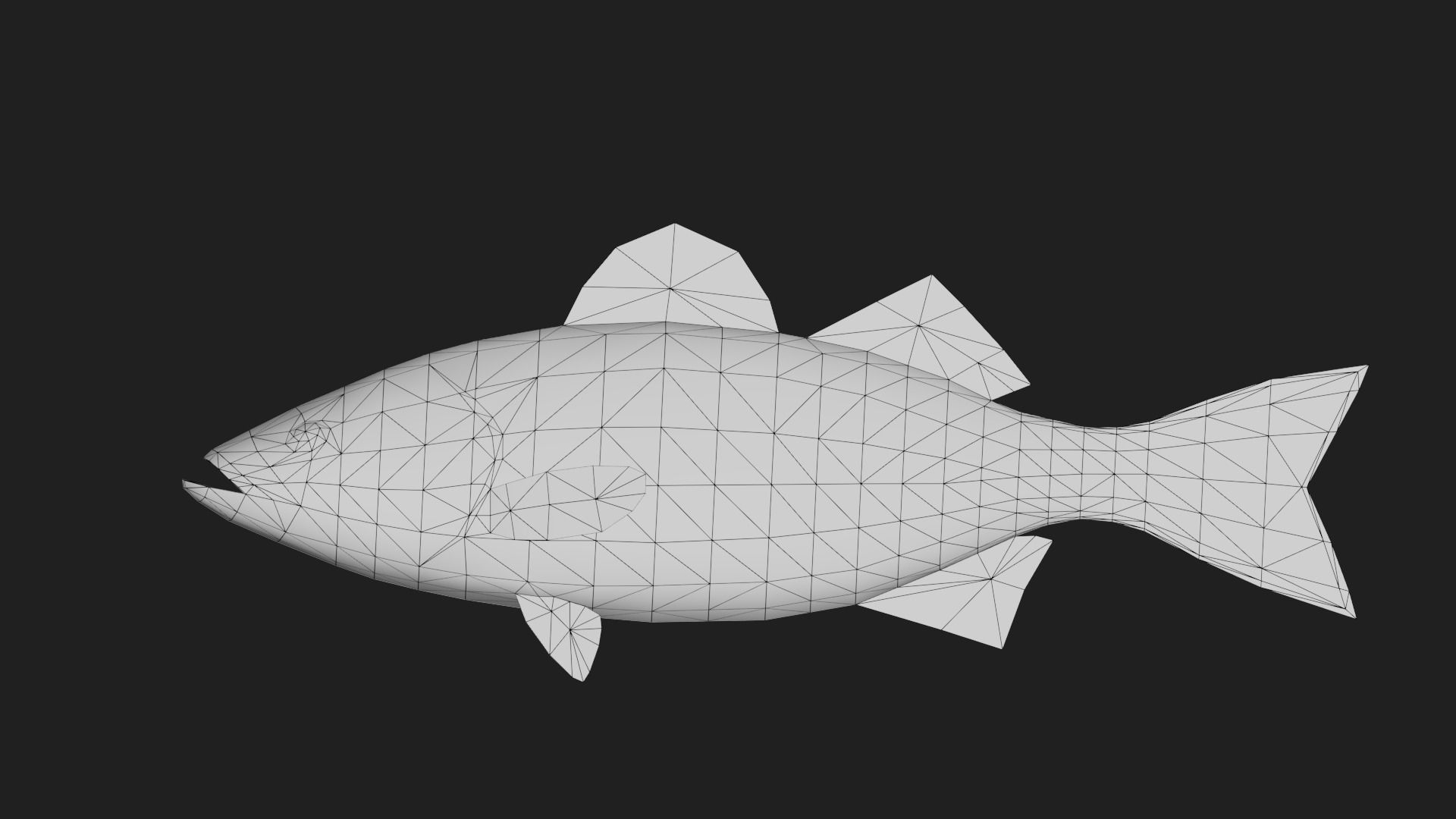 Stripedbass Low-poly 3D model_1